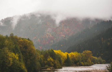 Karpat Dağları'nda sabah sis.