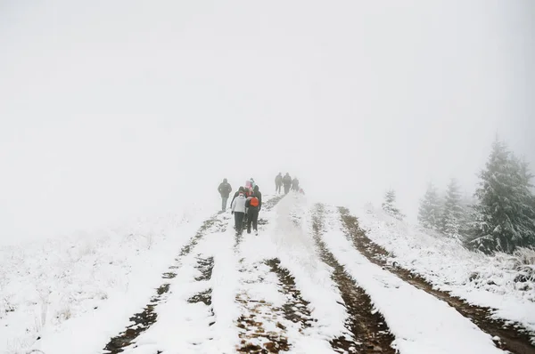 Grupo de caminhantes com uma mochila na floresta no dia de inverno nebuloso. Visão traseira — Fotografia de Stock