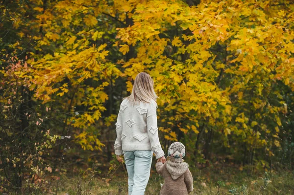 Madre e hija pequeña, caminando en el parque de otoño. Están hablando y disfrutando de un hermoso día de otoño . —  Fotos de Stock