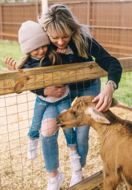 Anne ve çocuğu hayvanat bahçesinde minyatür geyik besliyor. Hayvanlara duyulan sevgi kavramı.