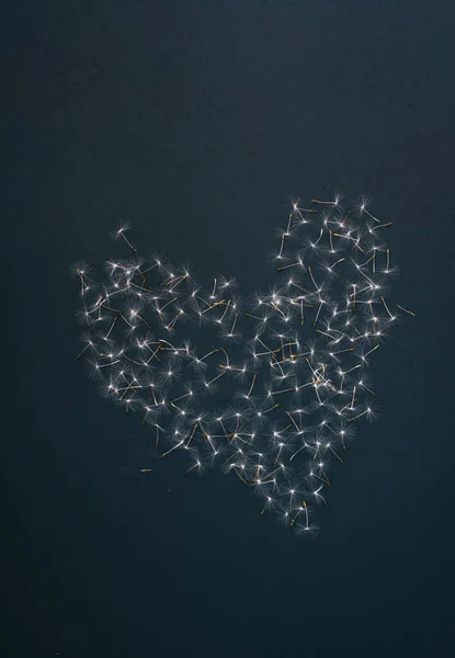 Heart Dandelion Seeds Black Background Pattern — Stock Photo, Image