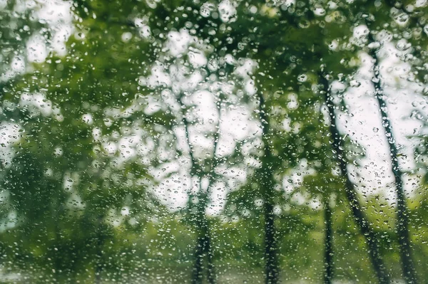 Gotas Lluvia Ventana Con Árboles Verdes Fondo Primavera Día Lluvioso — Foto de Stock