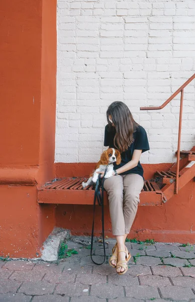 Atractiva Joven Mujer Vinculándose Con Perro Mientras Está Sentada Banco — Foto de Stock