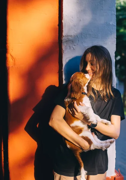 Mujer Joven Besando Adorable Cachorro King Charles Spaniel Emociones Humanas — Foto de Stock