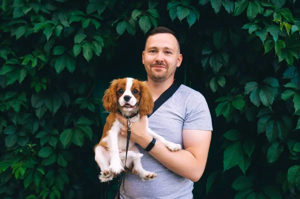 Blanke Man Met Zijn Koning Charles Spaniel Puppy Handen Staande — Stockfoto