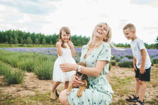 Mor Leker Med Sina Små Två Barn Och Deras Hund — Stockfoto