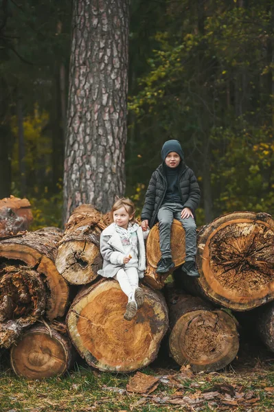 Little Sister Her Brother Sitting Big Stack Logs Autumn Forest — Stock Photo, Image