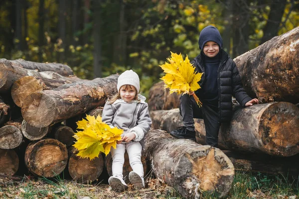 Hermanita Hermano Con Ramos Hojas Arce Amarillo Sentado Una Gran — Foto de Stock