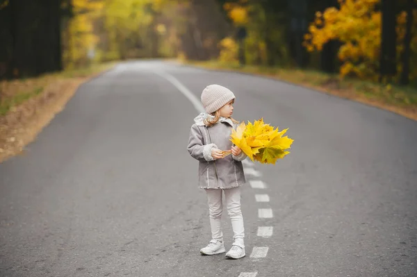 Ένα Κοριτσάκι Ένα Μπουκέτο Φθινοπωρινά Φύλλα Ποζάρει Στον Ασφαλτοστρωμένο Δρόμο — Φωτογραφία Αρχείου
