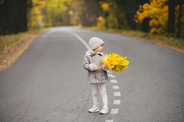 Una Niña Con Ramo Hojas Otoño Posa Camino Asfalto Fondo — Foto de Stock