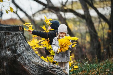 Akçaağaç yapraklı iki küçük çocuk sonbahar ormanında kütüğün yanında oynuyorlar.