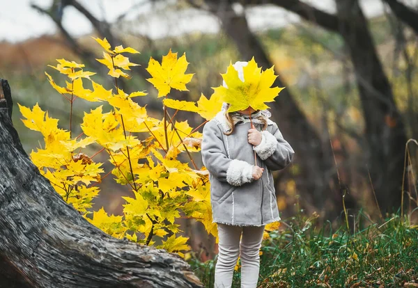 Niña Ropa Abrigo Escondiendo Cara Con Hoja Arce Cerca Del — Foto de Stock