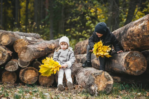 两个孩子一起在秋天森林的木堆上玩耍 — 图库照片