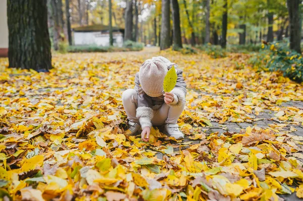 Una Bambina Siede Terra Coperta Foglie Arancio Nel Parco Autunnale — Foto Stock