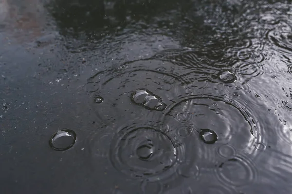 雨滴脉动的背景 闭包视图 — 图库照片