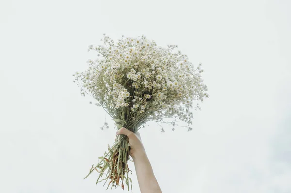 Bouquet of white flowers in hands against the backdrop of the sky. White gypsophila.