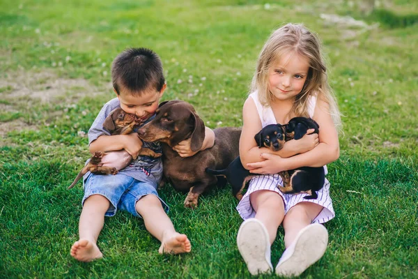 Deux Enfants Mignons Jouant Avec Une Famille Teckel Assis Sur — Photo