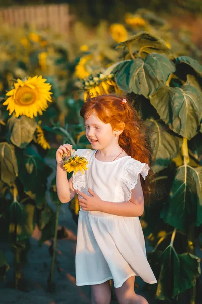 A little redhead girl in white dress in a field of sunflowers. Horizontal portrait