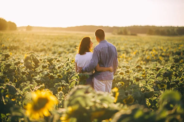 Beautiful couple in love is standing back and embracing, looking at the sunset over a field of sunflowers. Girl in a white summer blouse, a man in jeans and a shirt. Summer vacation concept