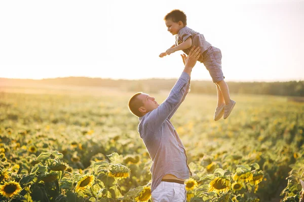 Father Throws His Little Son Green Sunflowers Field Sky Sunset — Stock Photo, Image