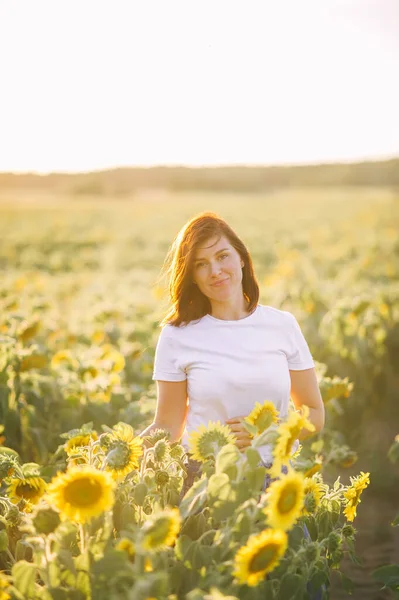 Jeune Femme Brune Dans Champ Tournesols Lever Soleil Portrait Une — Photo