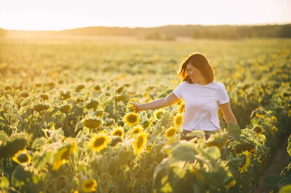 Jeune Femme Caucasienne Aux Cheveux Longs Dans Champ Tournesols Coucher — Photo