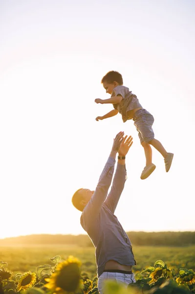 Šťastný Otec Vyhazuje Svého Roztomilého Synáčka Slunečnicové Pole Oba Smějí — Stock fotografie