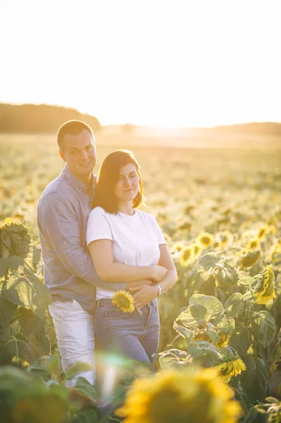 Marido Pie Cerca Esposa Beata Campo Con Montón Girasoles Una —  Fotos de Stock