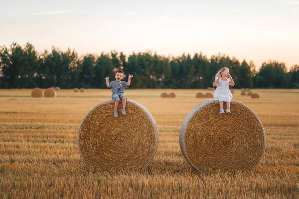 Little Brother Sister Sitting Haystack Field Wheat Sunset — Stock Photo, Image