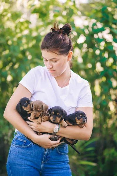 Foto Mujer Camiseta Blanca Sosteniendo Cuatro Cachorros Aire Libre Retrato — Foto de Stock