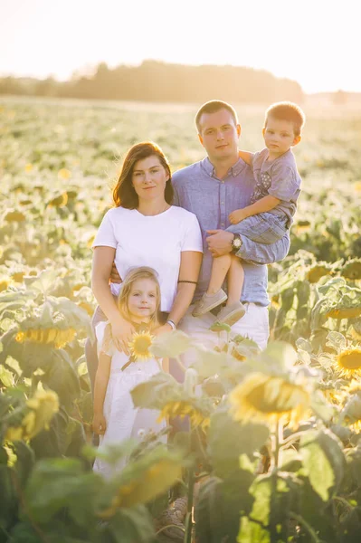 Father Mother Children Sunflowers Field Sunset Children Protection Mothers Fathers — Stock Photo, Image