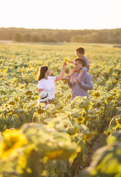 Young Family Two Children Having Great Time Sunflower Field Holidays — Stock Photo, Image