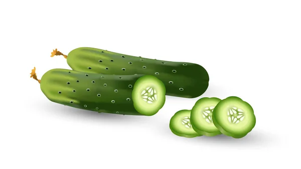 Tranche de concombre naturel juteux mûr Vecteur réaliste — Image vectorielle
