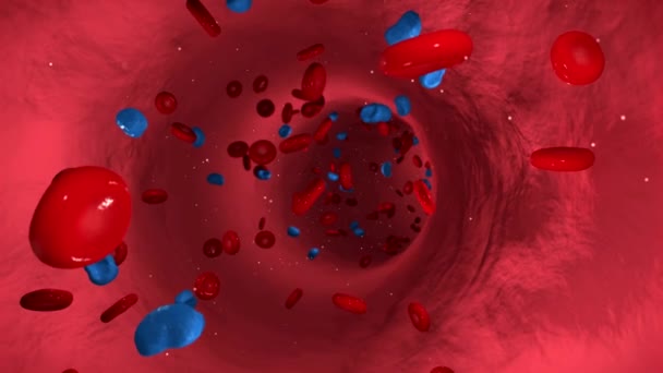 血液細胞とインフルエンザウイルスが静脈を流れることによる血流のアニメーション — ストック動画