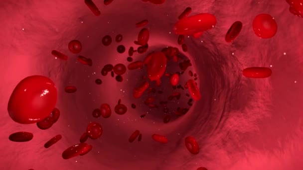 Анімація Кровотоку Кров Яними Клітинами Протікають Через Вену — стокове відео