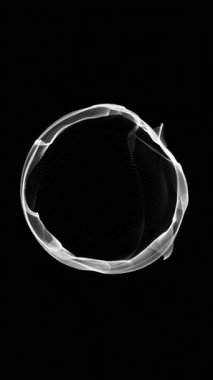 Siyah arkaplanda parlayan beyaz parçacık halkası. Sonsuzluğu, yeniliği ve enerjiyi sembolize eden soyut dairesel hareket