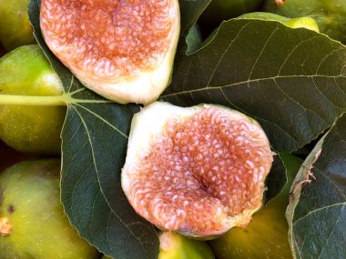 Puglia 'dan taze taze taze incir meyveleri.