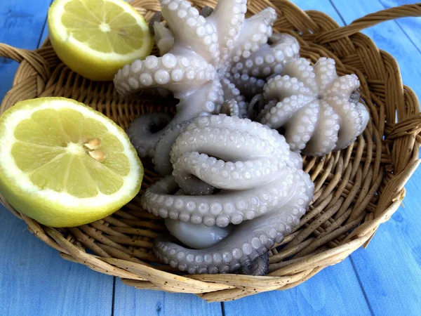 Heerlijke Verse Rauwe Octopus Uit Bari Puglia — Stockfoto