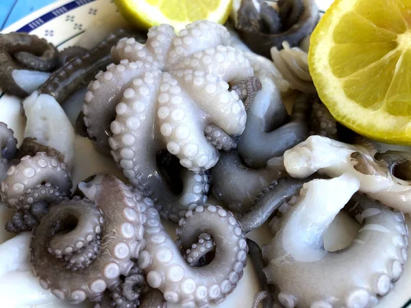 Lækker Frisk Blæksprutte Fra Bari Puglia - Stock-foto