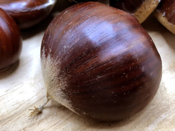 Marrons Crus Fraîchement Récoltés Dans Bois — Photo