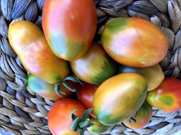 Heerlijke Vers Verzamelde Rode Tomaten Uit Puglia — Stockfoto