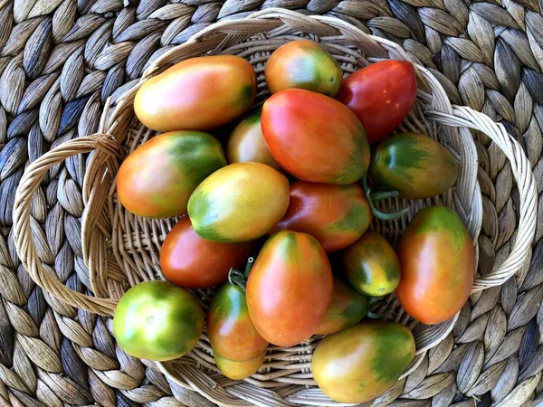 Köstliche Frisch Gesammelte Rote Tomaten Aus Apulien — Stockfoto