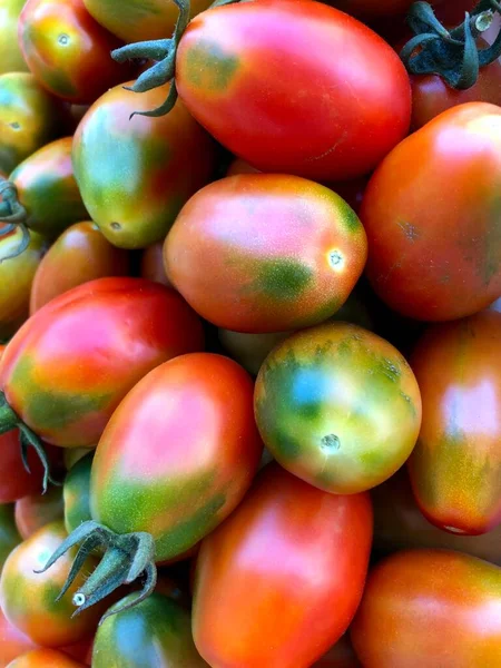 Deliciosos Tomates Vermelhos Recém Colhidos Puglia — Fotografia de Stock