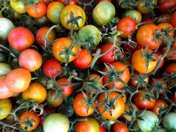 Fresh Raw Grapes Tomatoes Puglia Italy — Stock Photo, Image