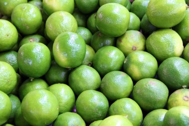 Limon satırlarının yakın görünümü, tek renkli arkaplan