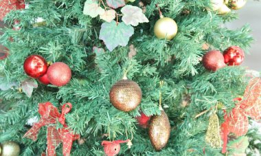 Noel ağacı - yakın plan görünümü