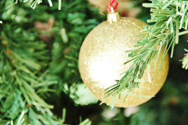 Noel ağacı - yakın plan görünümü