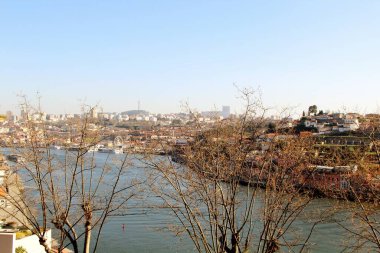 Mimari manzara, binalar ve caddeler liman kenti, Porto, Portekiz