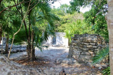 Meksika, manzarayı mahvediyor.