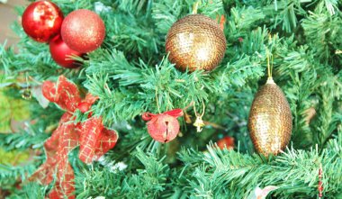 Noel ağacı - yakın plan görünümü